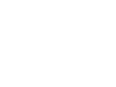 PSRM_Werbelogo_BeamSuntory.png