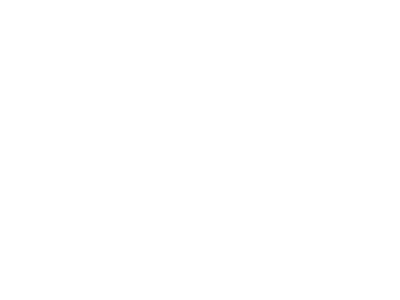 PSRM_Werbelogo_Brunswick.png