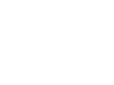 PSRM_Werbelogo_orange_weiss.png